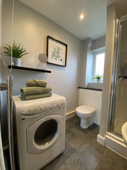 Compact Modern Apartment Single Person Or Couple Only Bangor Kültér fotó
